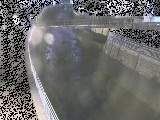 松山橋付近のカメラ画像