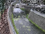 松山橋付近のカメラ画像