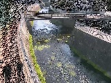 蓼川 松山橋付近のカメラ画像