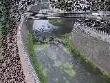 蓼川 松山橋付近のカメラ画像