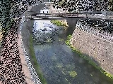 松山橋付近のカメラ画像