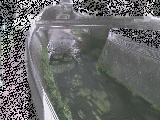 松山橋付近のカメラ画像