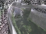 松山橋付近のカメラ画像