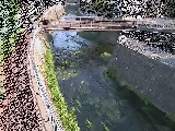 松山橋付近のカメラ画像