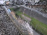 永池橋付近のカメラ画像