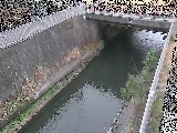 吉野橋付近のカメラ画像