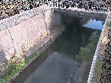 吉野橋付近のカメラ画像