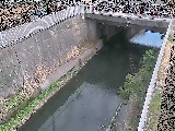 吉野橋付近のカメラ画像