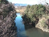 鳩川 海老名分水路付近のカメラ画像
