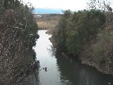 鳩川 海老名分水路付近のカメラ画像