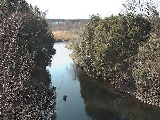 鳩川 海老名分水路付近のカメラ画像