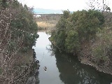 鳩川 海老名分水路付近のカメラ画像
