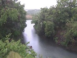 鳩川 海老名分水路付近のカメラ画像
