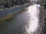 引地川 大山橋付近のカメラ画像