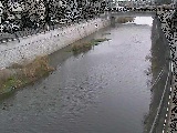 引地川 大山橋付近のカメラ画像