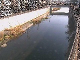 引地川 大山橋付近のカメラ画像