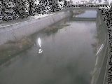 大山橋付近のカメラ画像