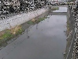 大山橋付近のカメラ画像