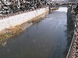 引地川 大山橋付近のカメラ画像
