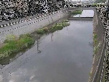 引地川 大山橋付近のカメラ画像