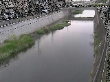 引地川 大山橋付近のカメラ画像