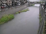 引地川 大山橋付近のカメラ画像