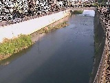大山橋付近のカメラ画像