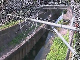 平和橋付近のカメラ画像