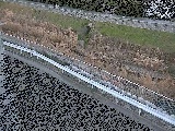 高橋付近のカメラ画像