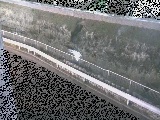 高橋付近のカメラ画像