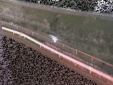 境川 高橋付近のカメラ画像