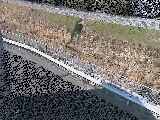 高橋付近のカメラ画像