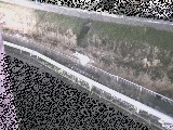 境川 高橋付近のカメラ画像
