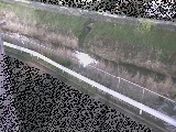高橋付近のカメラ画像