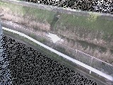 境川 高橋付近のカメラ画像