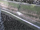 境川 高橋付近のカメラ画像