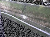 境川 高橋付近のカメラ画像