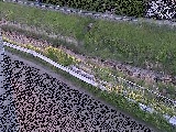 高橋付近のカメラ画像