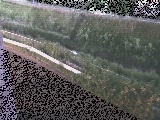 高橋付近のカメラ画像