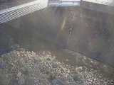 鳩川 石橋付近のカメラ画像