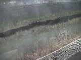 境川 幸延寺橋付近のカメラ画像