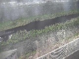 境川 幸延寺橋付近のカメラ画像
