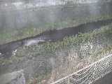 境川 幸延寺橋付近のカメラ画像