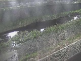 境川 幸延寺橋付近のカメラ画像