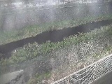 境川 幸延寺橋付近のカメラ画像