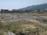 酒匂川 松田付近のカメラ画像