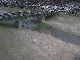 狩川 大泉河原橋付近のカメラ画像