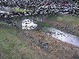 大泉河原橋付近のカメラ画像