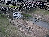 大泉河原橋付近のカメラ画像