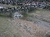 大泉河原橋付近のカメラ画像